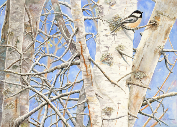 Chickadee