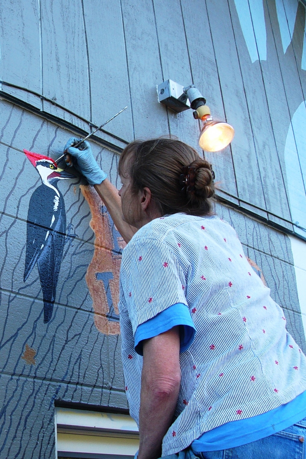 PaintingWoodpecker
