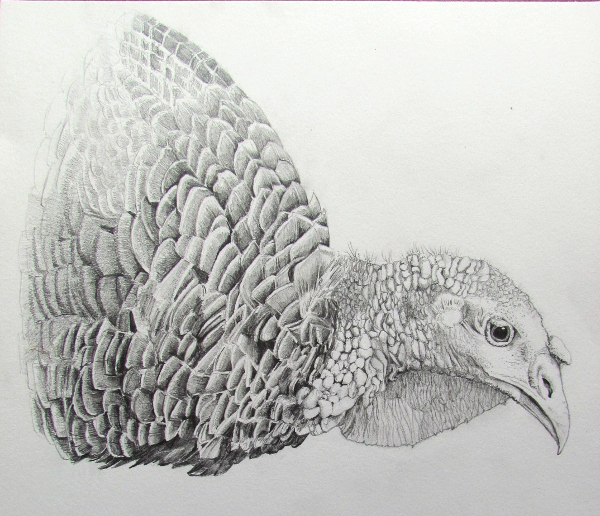 Turkey